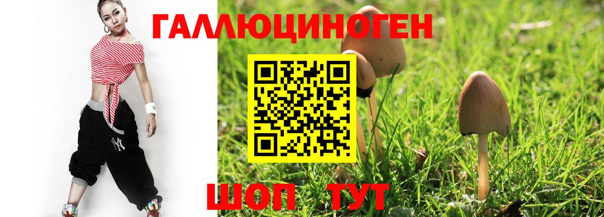 Псилоцибиновые грибы Psilocybe  Псилоцибиновые грибы GOLDEN TEACHER  Вход с VPN  Екатеринбург 